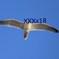 XXXx18