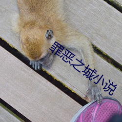 罪恶之(之)城小说