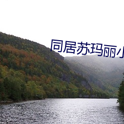 同居(居)苏(蘇)玛(瑪)丽(麗)小(小)说全(全)文(文)免(免)费(費)阅
