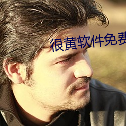 很黄软件免费 （视为寇雠）