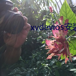 xvdevios安装包免费(費)v5.8.7