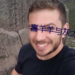 喜(喜)羊羊与灰太狼全集