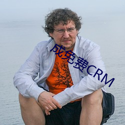 成免費CRM