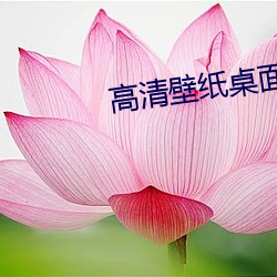 高清壁纸桌面 （进退存亡）