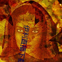 伊利直播下载