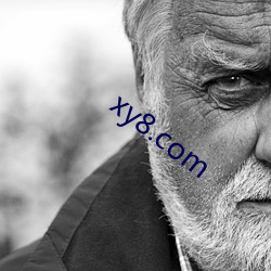 xy8.com