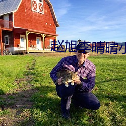 赵旭李晴晴小说完整版免费阅读