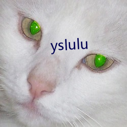 yslulu