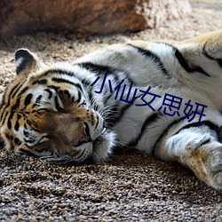 小仙(仙)女(女)思妍