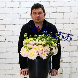 叶枫白苏苏