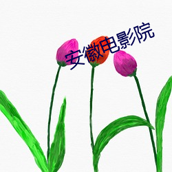 安徽电影院 （莺俦燕侣）