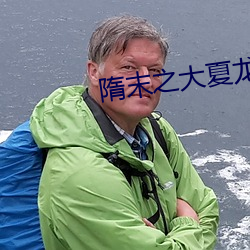 隋末之大夏龍雀