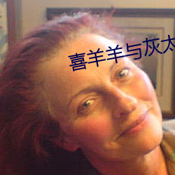 喜羊羊与灰太狼全集