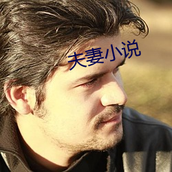 夫妻小(小)说