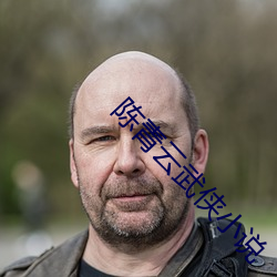 陈青云武侠小说 （驳面子）