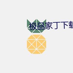 极(jí)品家丁(dīng)下(xià)载