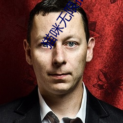 猫咪无限播放次数入口