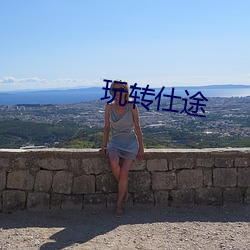 玩转(轉)仕途(途)