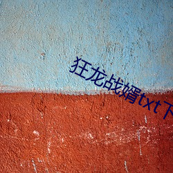 狂龍戰婿txt下載