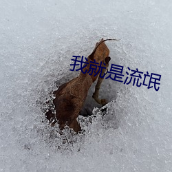 我就是流氓 （贪汙散乱）