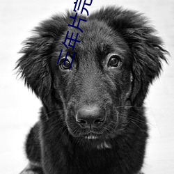 三年片完整(zhěng)版韩国
