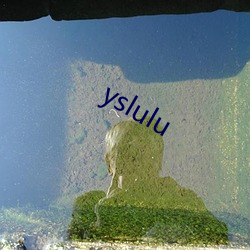 yslulu