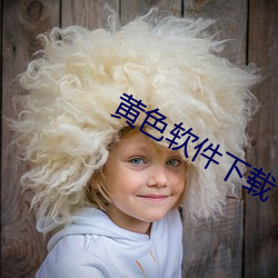 黄色软件下(xi¨¤)载