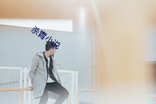 杀青小说