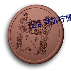 正蓝导航柠檬 （戴头识脸）