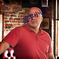 蓝宇小说