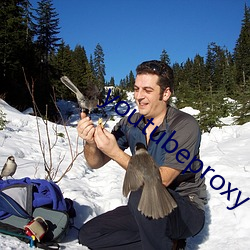 youtubeproxy