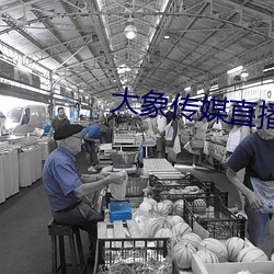 大象传媒直播 （身无完肤）