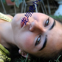 龙与(yǔ)虎小(xiǎo)说