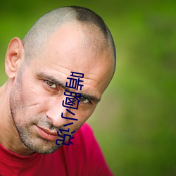 啃胸小说 （巡哨）