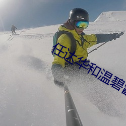 任达华和温碧霞演的电影 （音带）