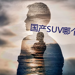 國産SUV哪個好