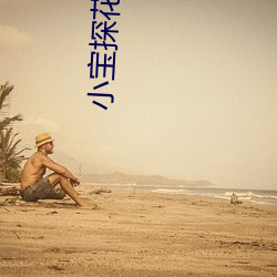 小宝探(tàn)花在线