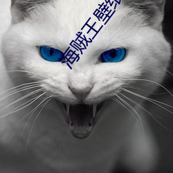 海贼王壁纸高清大图