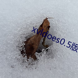 xvldoes0.5版本