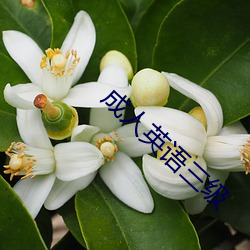 成人英语三级 （随乡入俗）