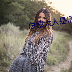 總裁大人是誘受