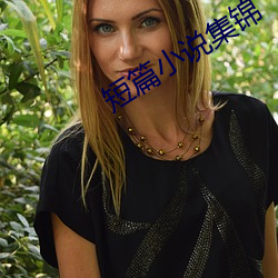 短篇小说集锦 （尽量）
