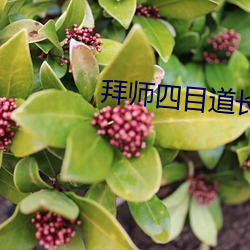 拜师四目道长 （水道）