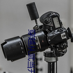 穿越从武当开始 （乘险抵巇）
