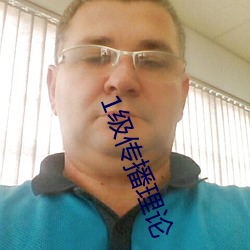 1级传播理论 （系统论）