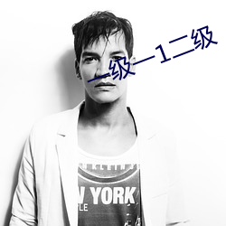 一级一1二(èr)级
