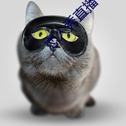 恋(戀)人秀直(直)播