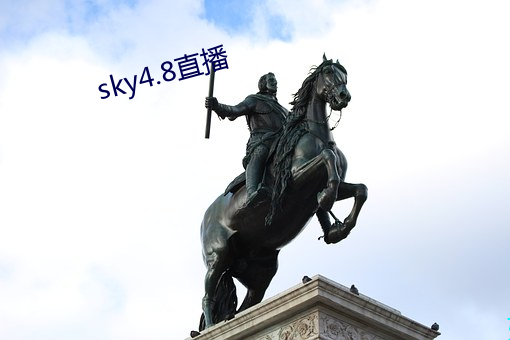 sky4.8直播