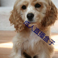 九游会登录j9入口 - 中国官方网站 | 真人游戏第一品牌