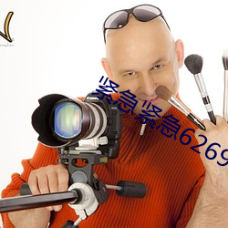 紧急紧急626969 （训令）